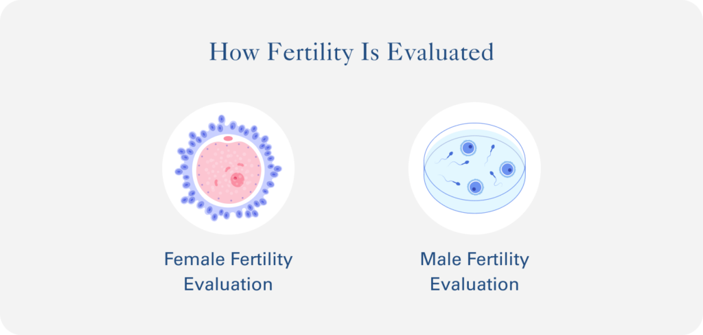 Fertility testing types